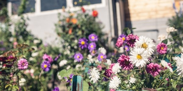 Летнее тепло вернется во Владивосток к началу календарной осени