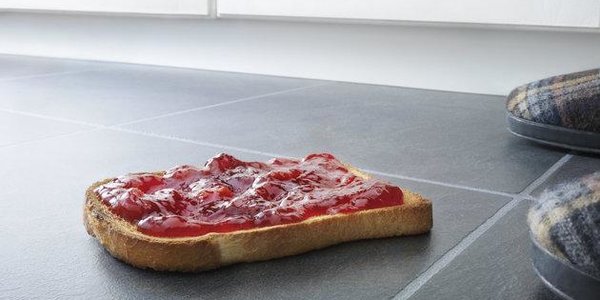 Учёные подтвердили,  что правило пяти секунд работает