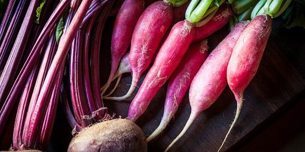 Главная ярмарка Владивостока возобновит свою работу в апреле