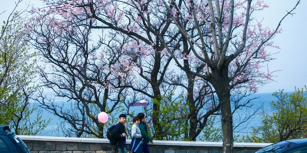 В выходные погода в Приморье улучшится