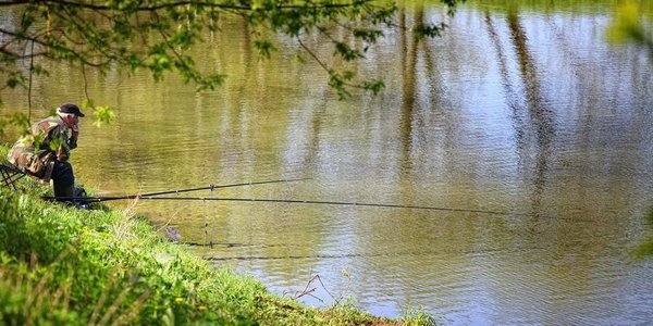 В начале недели в Приморье потеплеет до +31 °С