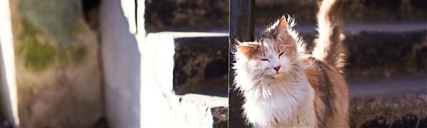 Погода в Приморье берёт курс на весну