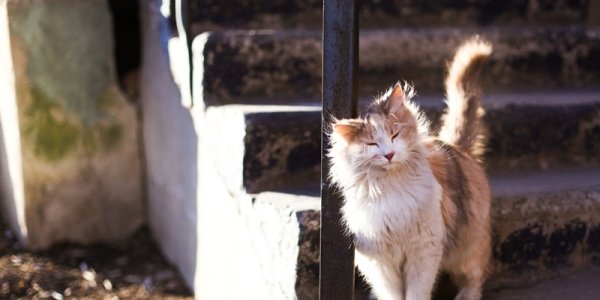 Погода в Приморье берёт курс на весну