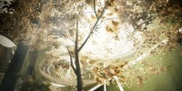 Под Нью-Йорком раскинется пышный сад