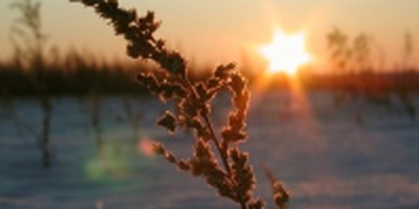 В выходные погода в Приморье порадует