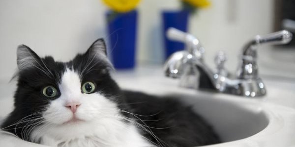 Часть Владивостока останется сегодня без холодной воды