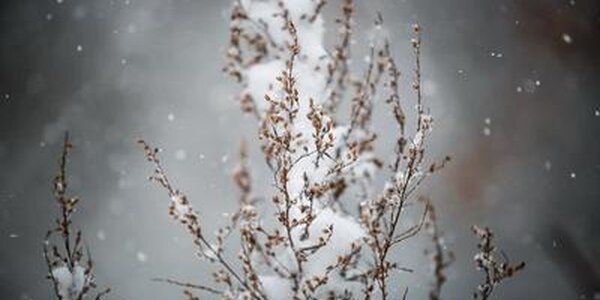 Синоптики озвучили прогноз погоды в первые выходные февраля в Приморье