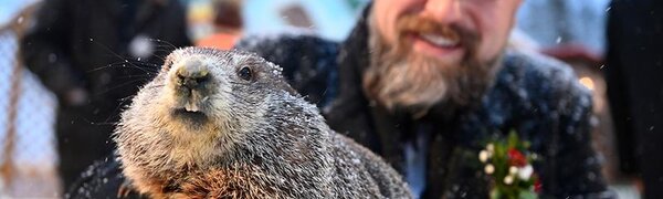 Сурок Фил предсказал позднюю весну