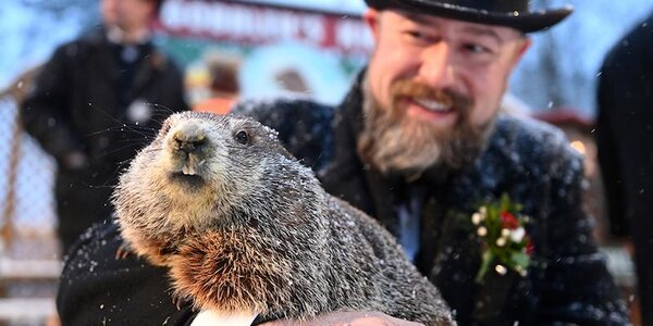 Сурок Фил предсказал позднюю весну