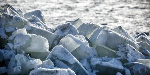 Площадь припайного льда в Амурском заливе в этом году больше