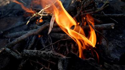 В выходные пожароопасность в Приморье возрастёт до 4 уровня