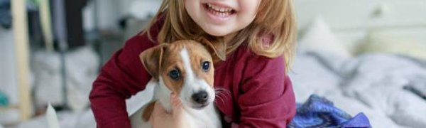 Любовь к собакам оказалась определена генами