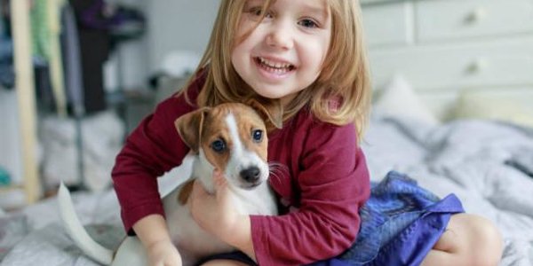 Любовь к собакам оказалась определена генами