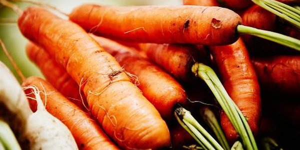 Продуктовая ярмарка развернётся в центре Владивостока 26 и 27 августа