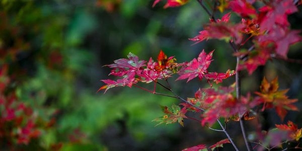 Выходные в Приморье будут тёплыми, в воскресенье пройдут дожди