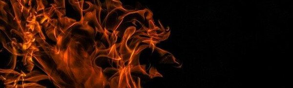 Внимание! Сразу в нескольких районах Приморья сохраняется пожароопасность леса