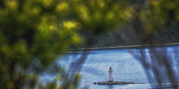 Неделя в Приморье начинается с теплой погоды