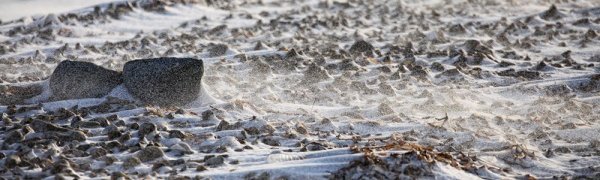 Волна арктического холода приближается к Приморью