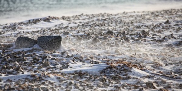 Волна арктического холода приближается к Приморью