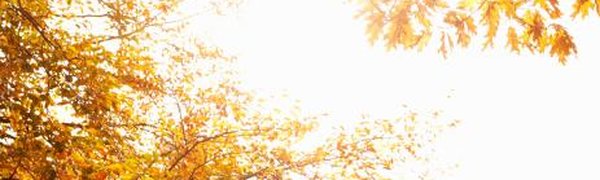 Сентябрь-2016 стал самым тёплым за всю историю метеонаблюдений