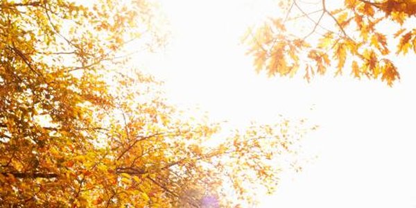 Сентябрь-2016 стал самым тёплым за всю историю метеонаблюдений