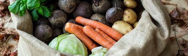 За сезонными овощами – на центральную площадь Владивостока