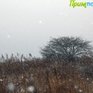 В Приморье пройдет небольшой снег