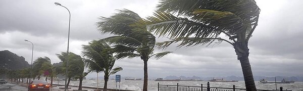 Тайфун «Нури» обрушил на юг Китая самые сильные ливни за последние 60 лет