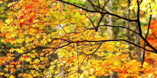 Затяжное похолодание в Приморье начало отступать