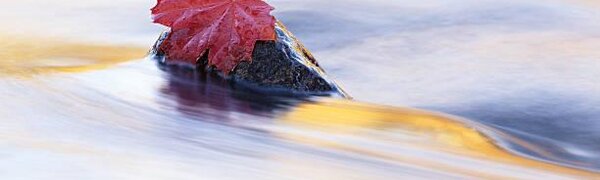 На реках Приморья сохраняется медленный спад уровня воды