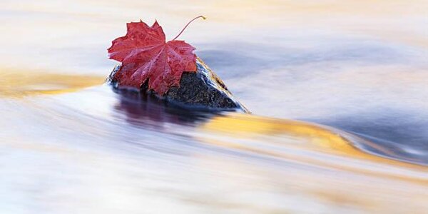 На реках Приморья сохраняется медленный спад уровня воды