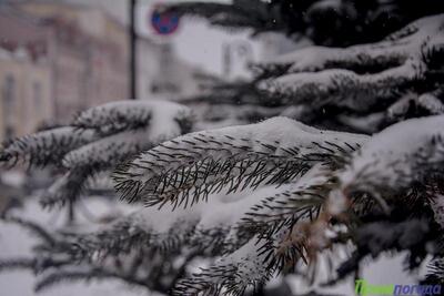 Высота снежного покрова в Приморье от 2 до 43 см