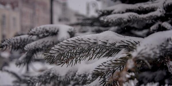 Высота снежного покрова в Приморье от 2 до 43 см