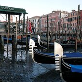 В Венеции обмелели каналы после наводнения