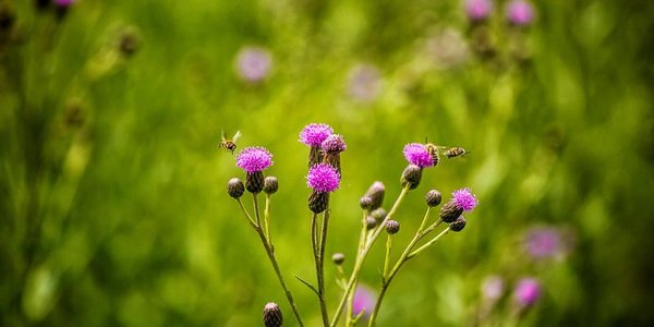 На следующей неделе на побережье Приморья вернутся туман и морось