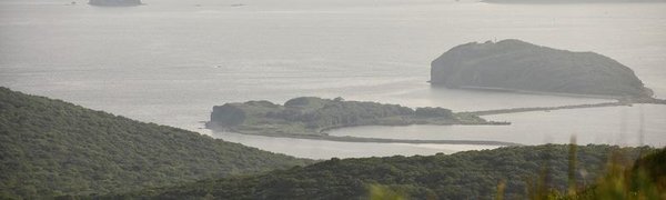 О погоде в Приморье и Владивостоке на выходных рассказали синоптики 