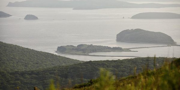 О погоде в Приморье и Владивостоке на выходных рассказали синоптики 