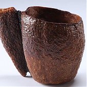 Цитрусовая посуда — экологично и ароматно