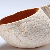 Цитрусовая посуда — экологично и ароматно