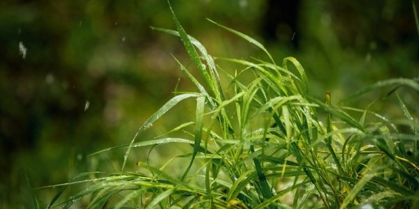 Сегодня на юге Приморья пройдут небольшие осадки