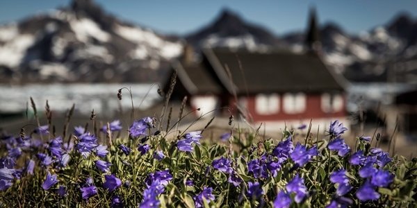 Март 2016 года стал самым тёплым за всю историю наблюдений