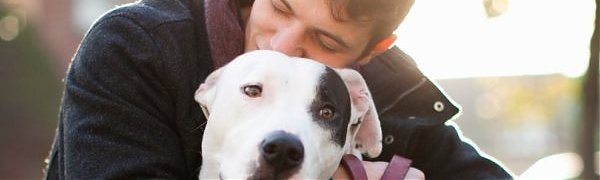 Учёные: собакам не нравится обниматься