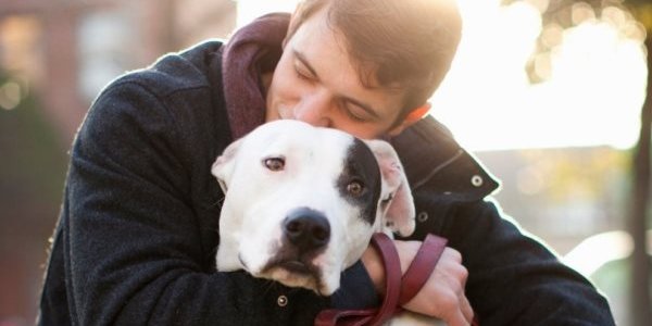 Учёные: собакам не нравится обниматься