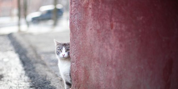 В выходные в Приморье придёт оттепель