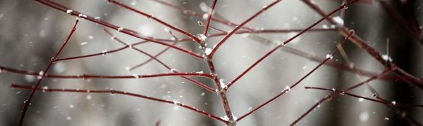 Череда циклонов пройдёт над Приморьем на следующей неделе