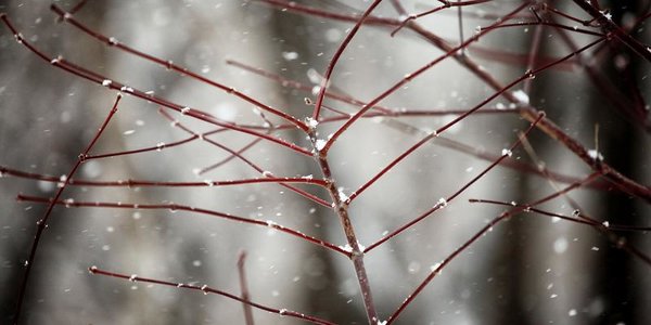 Череда циклонов пройдёт над Приморьем на следующей неделе