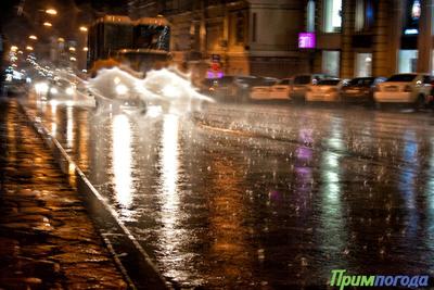 Наиболее сильные дожди в Приморье пройдут в первой половине недели
