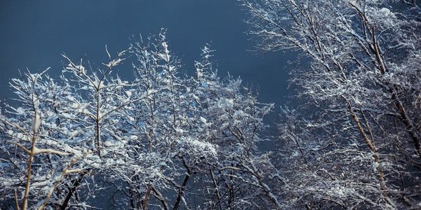 Ночью и утром в пятницу во Владивостоке ожидается мокрый снег