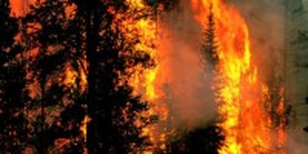 Крупные лесные пожары охватили Китай