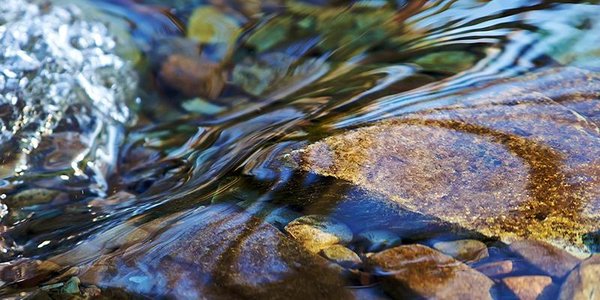 Из-за дождей в Приморье возможен разлив ручьёв и мелких водотоков